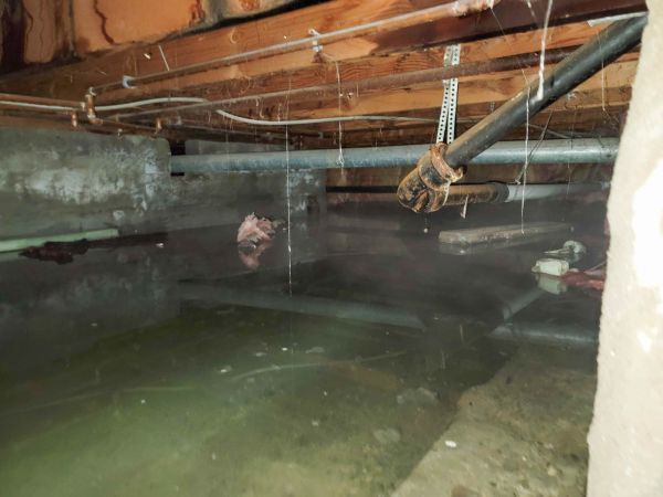 Cost of Water Mitigation Service in Olympia
