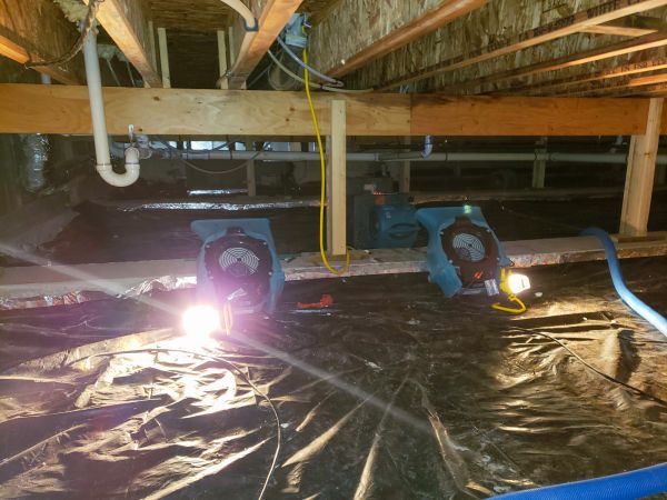 Cost of Crawlspace Water Removal in Olympia